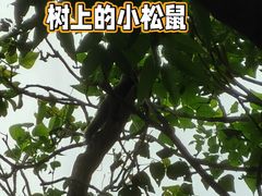 -广州市白云山风景名胜区