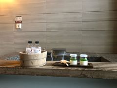 -台北北投丽禧温泉酒店