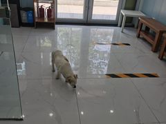 -纳吉亚猫专科动物诊疗中心(蒋宅口分院)