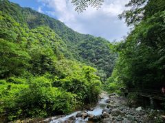 -西岭雪山大飞水景区