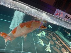 -海德温泉生活馆(朝阳大悦城店)