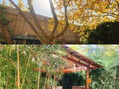 -春晖园度假酒店温泉