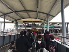 -国际邮轮中心码头(厦鼓码头)
