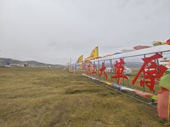 -祁连山草原
