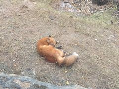 -武汉动物园