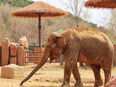 -沈阳森林动物园