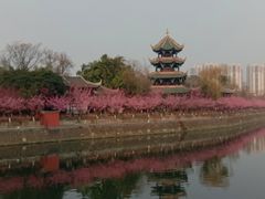 -望江楼公园