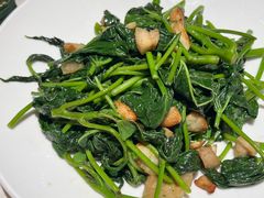 清炒番薯叶-大鸽饭(岗顶店)