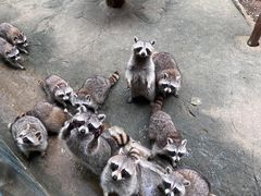 -杭州野生动物世界