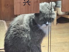 -有才叔的小馆(民乐园店)