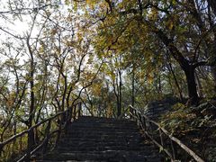 -井塘古村