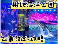 -海合安青岛极地海洋公园