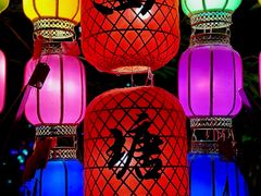 -西塘人家•黑金冠本地好店