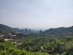 -东部华侨城