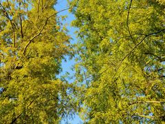 -敬亭山风景名胜区