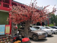 -丽华园(青少年宫店)