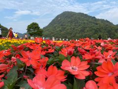 -广州市石门国家森林公园