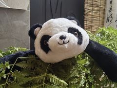 -茶去咖啡屋(武侯祠店)