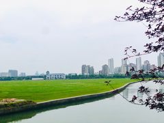 -苏州金鸡湖大酒店