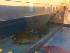 -活鱼馆(宜兴埠店)