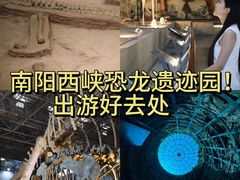 -中国西峡恐龙遗迹园