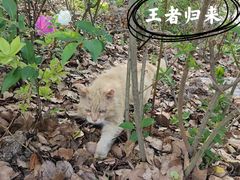 -上海滨江森林公园