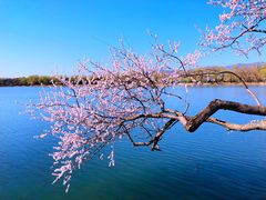 -颐和园