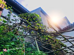 -鹿亭中村