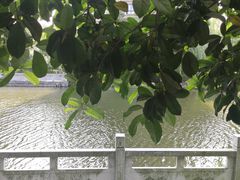 -杭州植物园