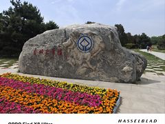 -秦始皇帝陵博物院-丽山园