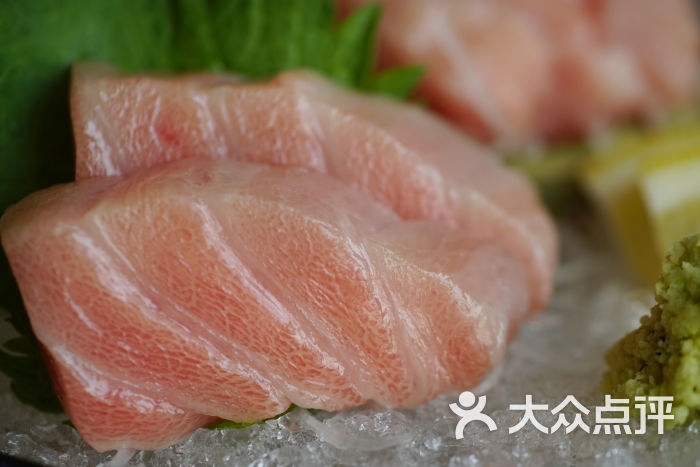 蓝鳍金枪鱼大脂