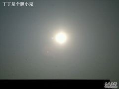 android_dianping_up-上海外滩华尔道夫酒店