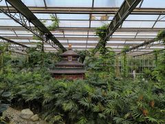 -南宫五洲植物乐园