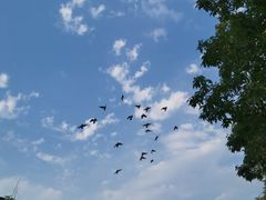 -前门兵部洼胡同停车场
