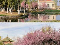 -洪湖湿地生态园