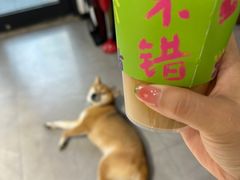 -NOTBAD 须时·咖啡馆