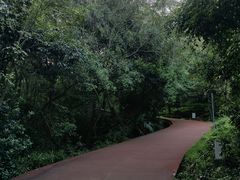 -敬亭山风景名胜区