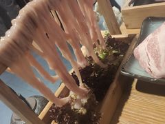 风味鸭肠-湊湊火锅·茶憩(东城万达店)