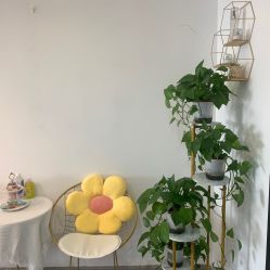 -凡碧诗毛孔收细
