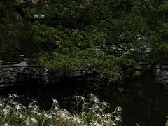 -晓港公园