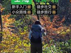 -四明山国家森林公园