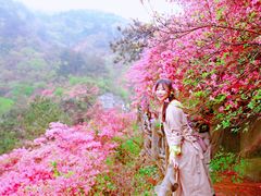 -木兰云雾山