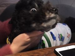 -Primo·丽莫意大利窑烤披萨