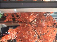 -樂涧·蓝鰭金枪鱼料理(生态园店)