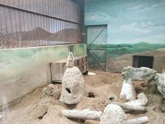 -昆明动物园