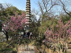 -西泠印社
