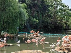 -宁波野生动物园