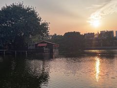 -荔湾湖公园