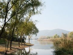 -长广溪湿地公园