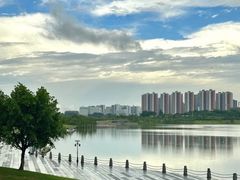 -九里湖国家湿地公园
